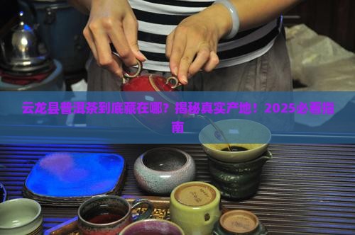云龙县普洱茶产地在哪里