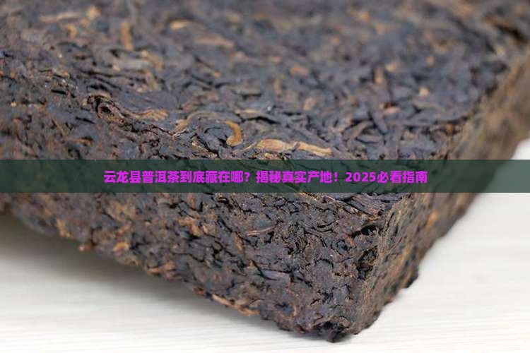 云龙县普洱茶产地在哪里