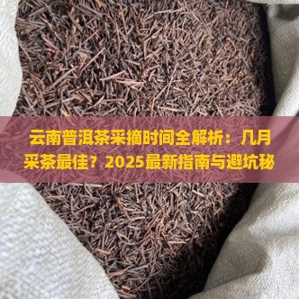 云南普洱茶一般几月采茶