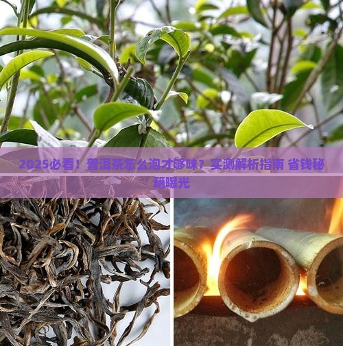 怎样制普洱茶好喝