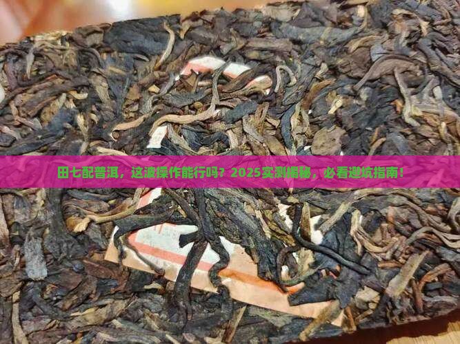 吃田七可以喝普洱茶吗