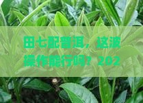 吃田七可以喝普洱茶吗