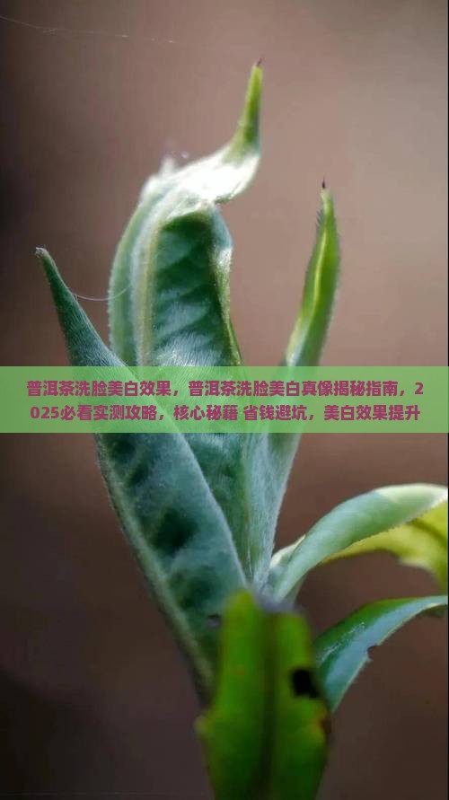 普洱茶洗脸美白效果