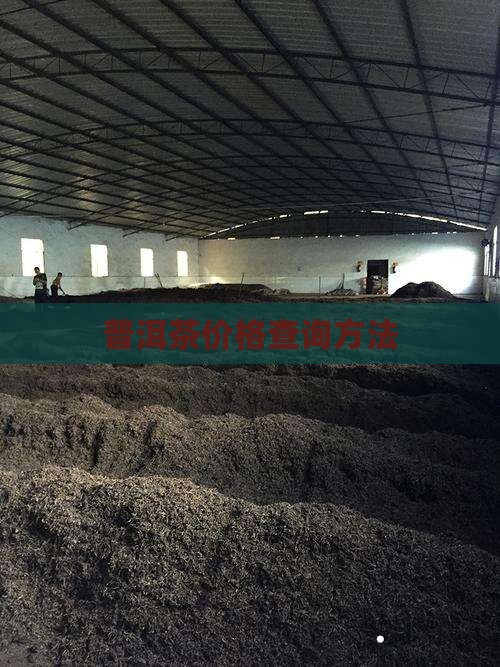 普洱茶怎么查哪年的价格