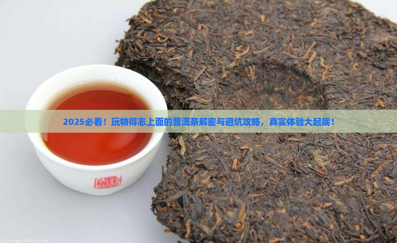 玩物得志上面的普洱茶