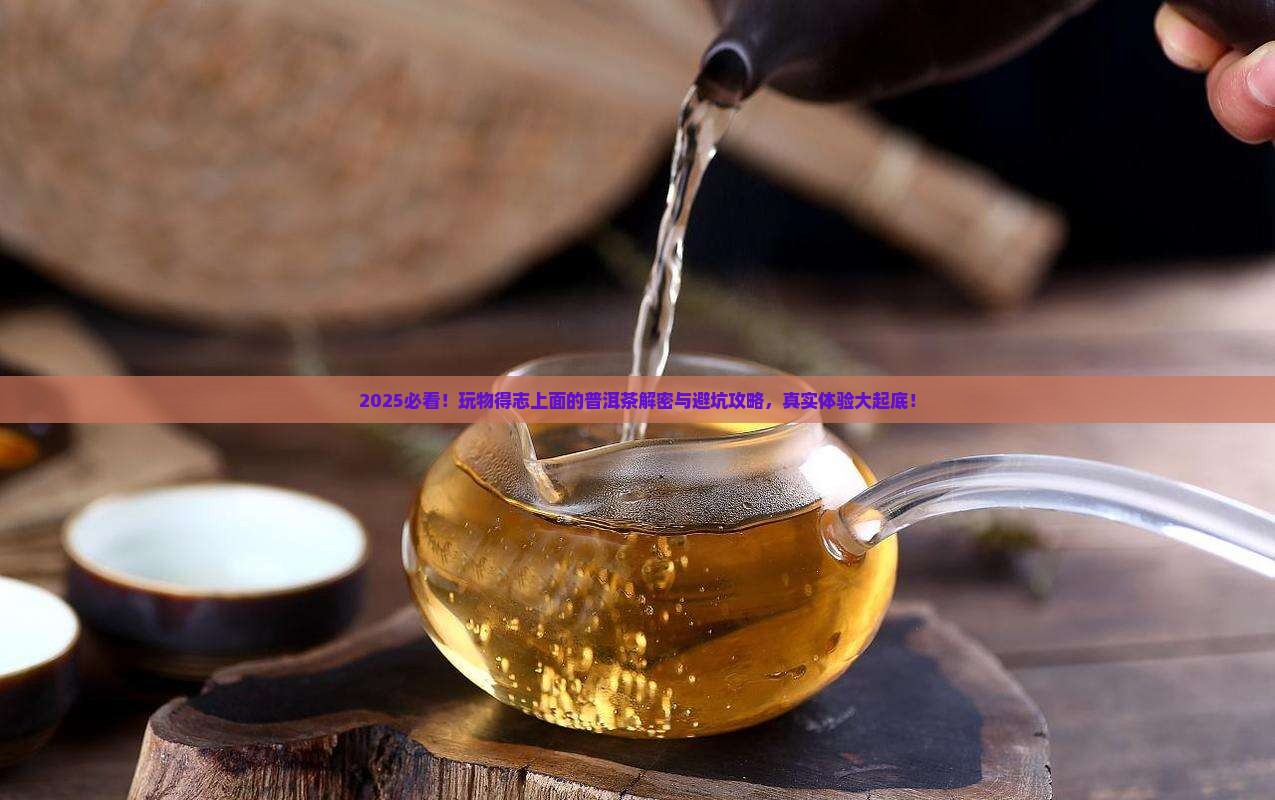 玩物得志上面的普洱茶