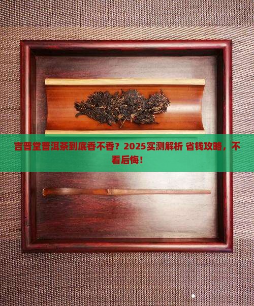 吉普堂的普洱茶怎么样