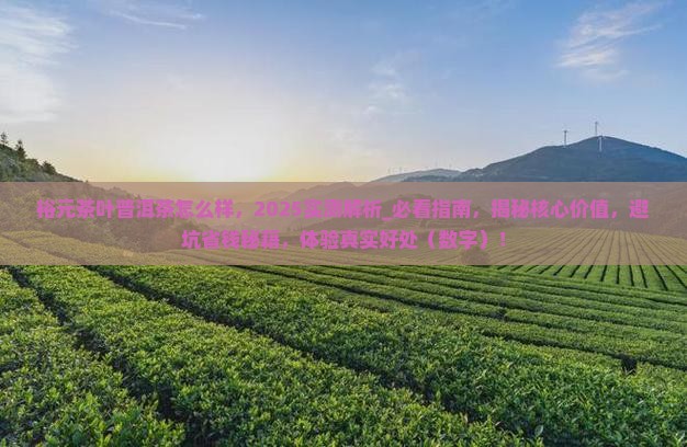 裕元茶叶普洱茶怎么样
