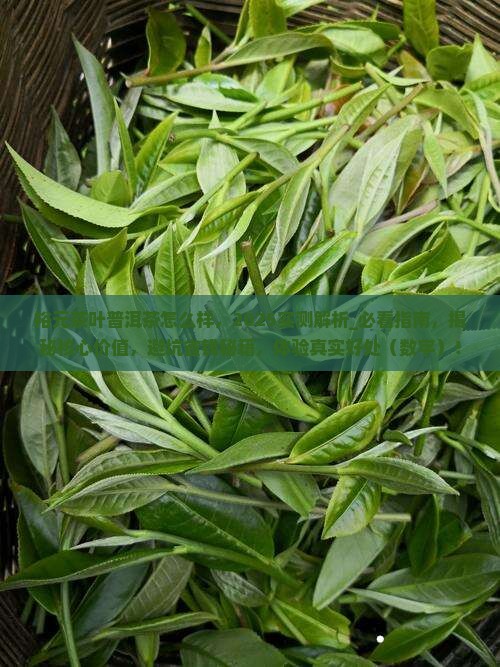 裕元茶叶普洱茶怎么样