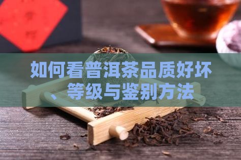 如何看普洱茶品质