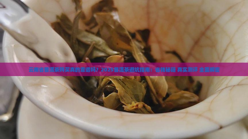 云南省普洱茶购买