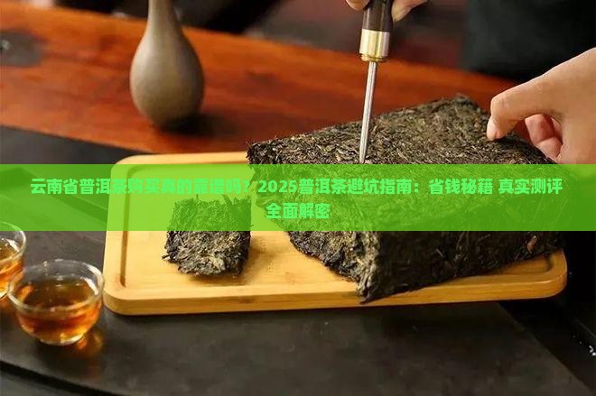 云南省普洱茶购买