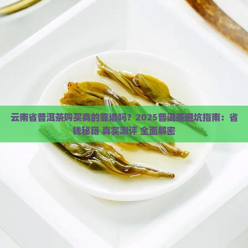 云南省普洱茶购买