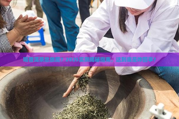 喝普洱茶屁多啥情况