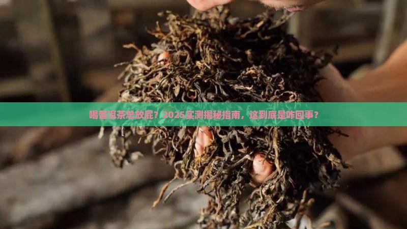 喝普洱茶屁多啥情况