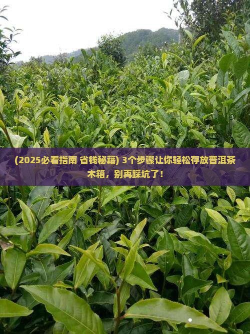 存放普洱茶木箱