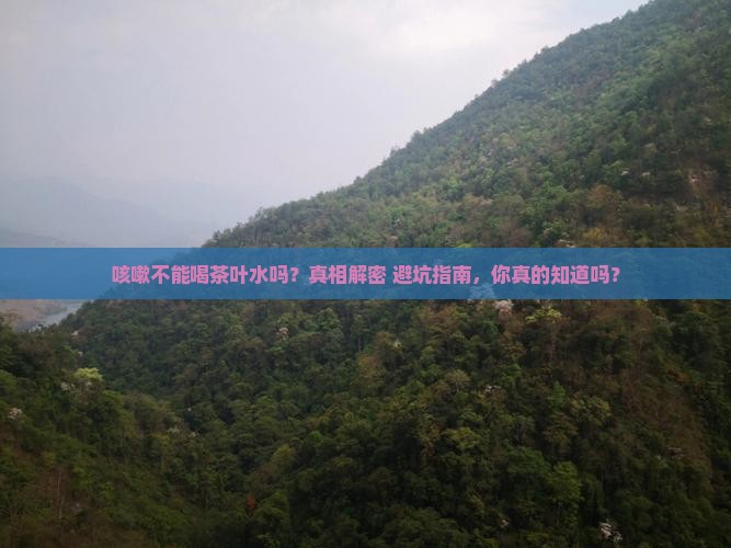 咳嗽不能喝茶叶水吗