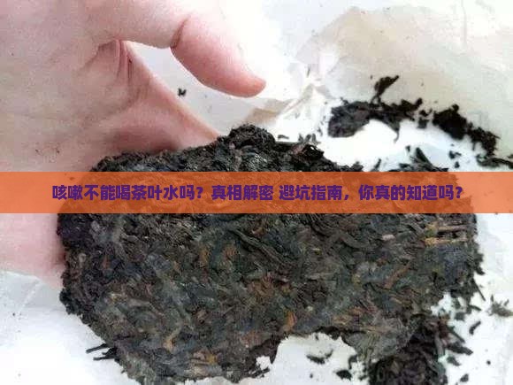 咳嗽不能喝茶叶水吗