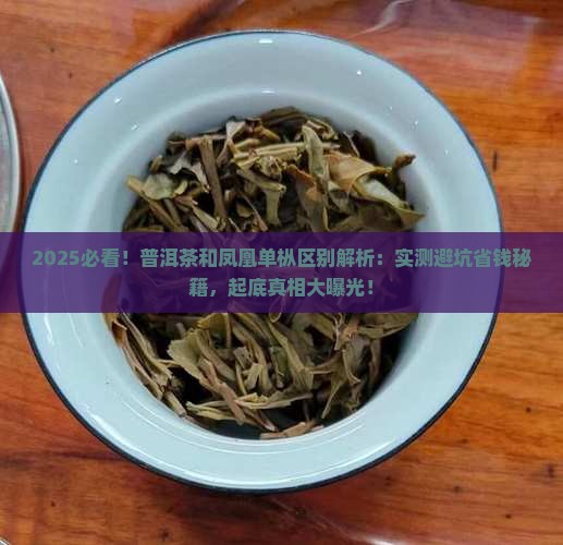 普洱茶和凤凰单枞的区别