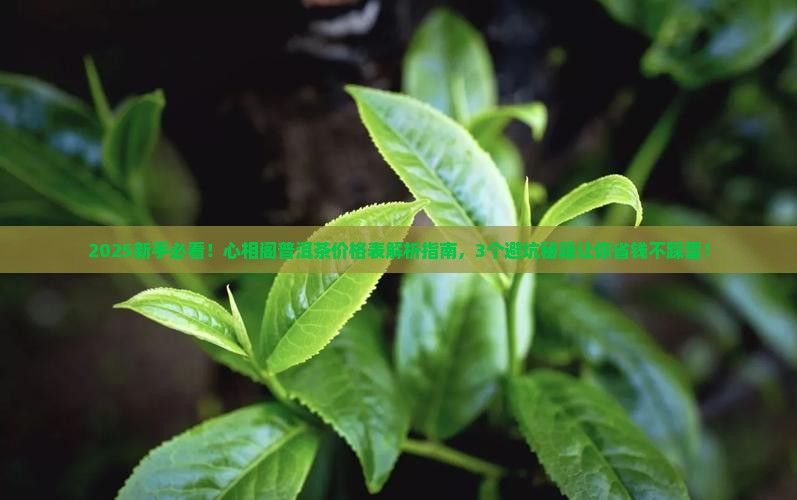 心相阁普洱茶价格表大全