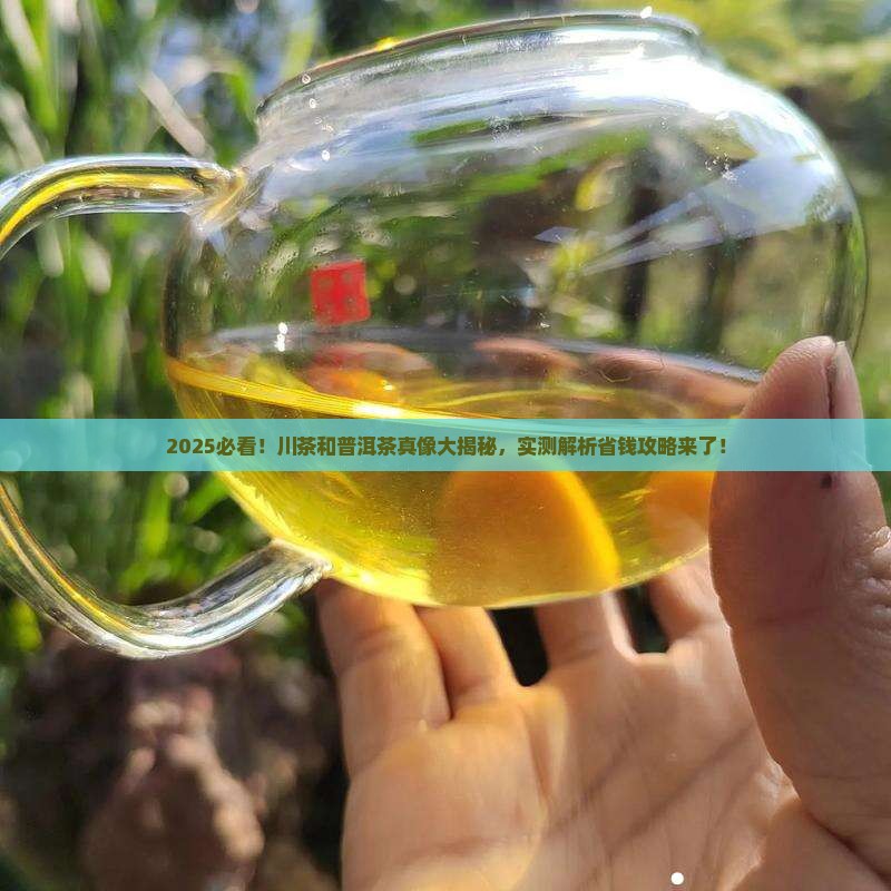 川茶和普洱茶的区别