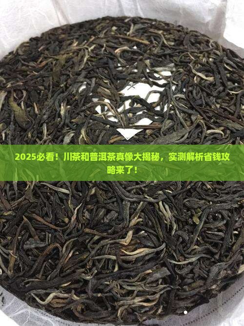 川茶和普洱茶的区别