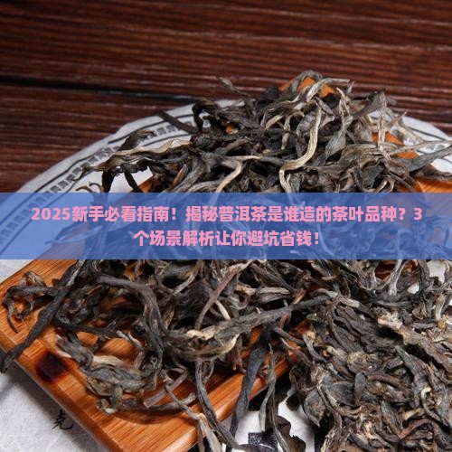 普洱茶是谁造的茶叶品种