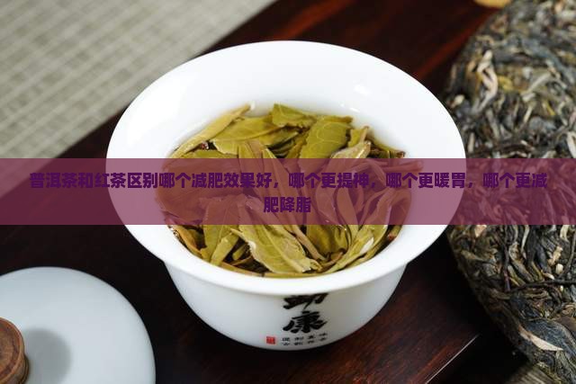 普洱茶和红茶区别哪个减肥
