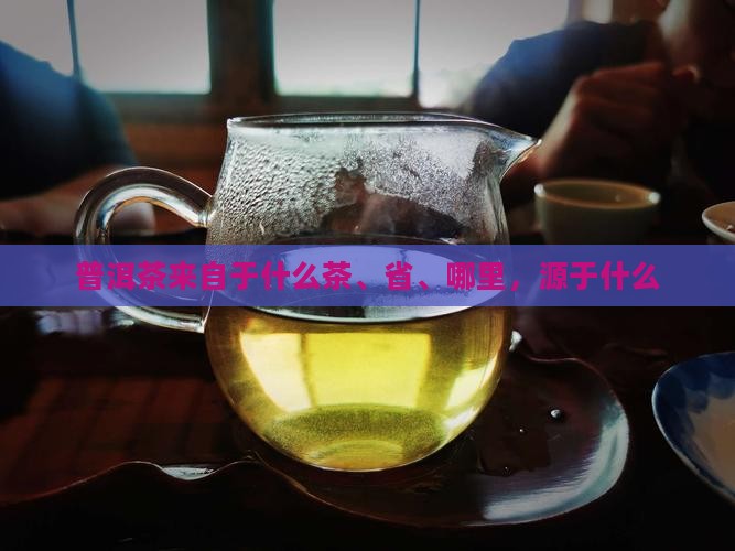 普洱茶来自于什么 普洱茶来自于什么