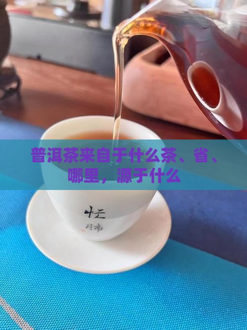 普洱茶来自于什么 普洱茶来自于什么