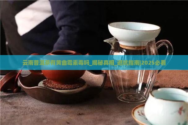 云南普洱茶有黄曲霉素毒吗