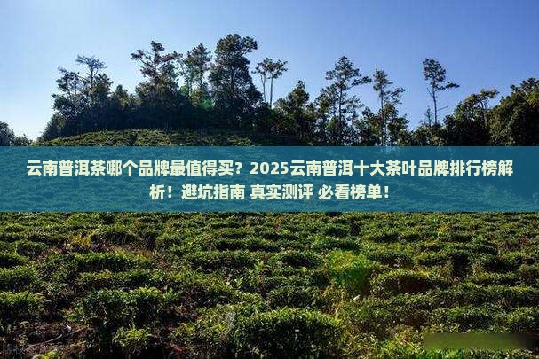 云南普洱十大茶叶品牌排行榜