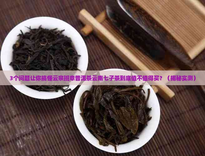 云宗班章普洱茶云南七子茶