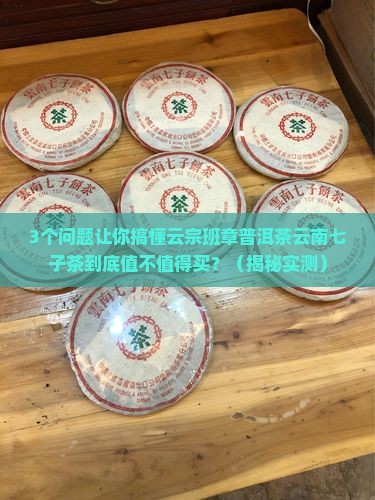 云宗班章普洱茶云南七子茶