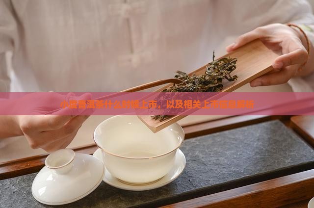 小度普洱茶什么时候上市