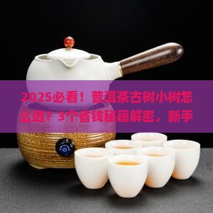 普洱茶古树小树介绍