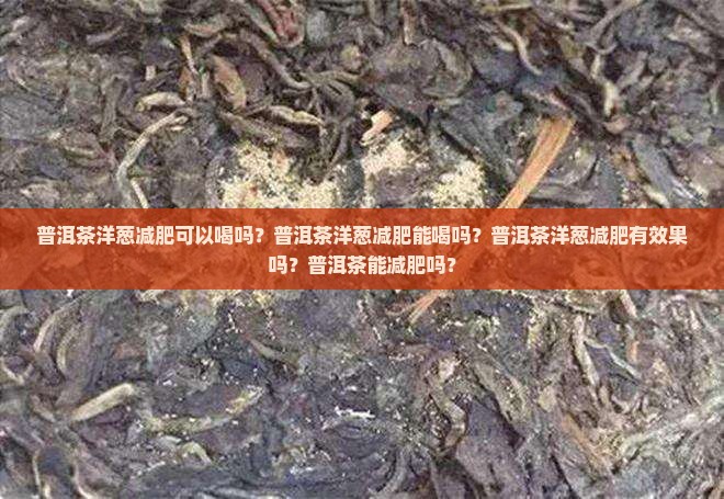 普洱茶洋葱减肥