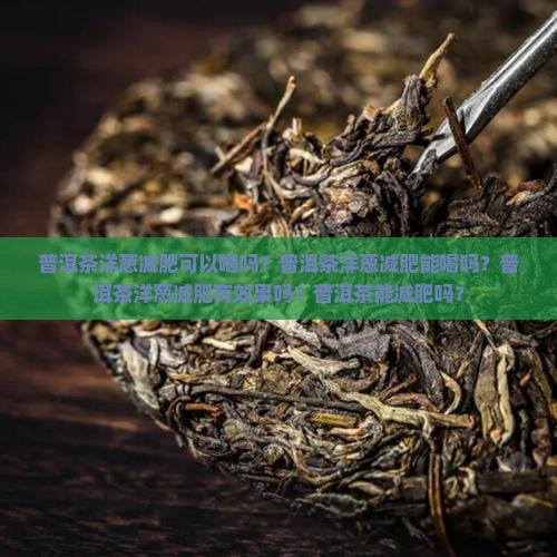 普洱茶洋葱减肥
