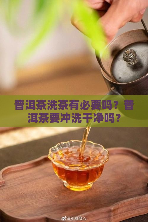 普洱茶要冲洗干净吗吗