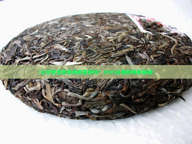 孖公仔普洱茶熟饼