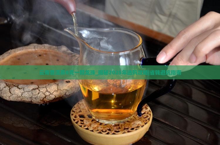 云南普洱茶8克一颗龙珠 云南普洱茶8克一颗龙珠