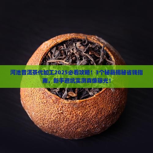 河池普洱茶代加工