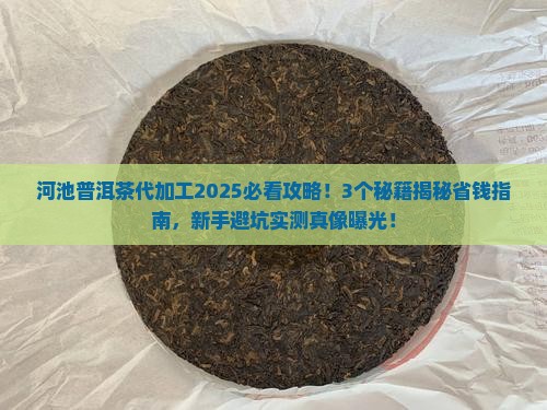 河池普洱茶代加工