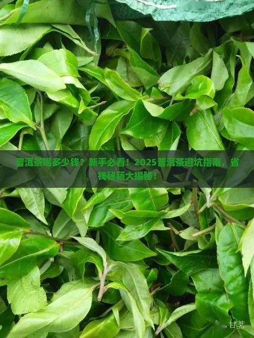 普洱茶喝多少钱