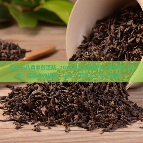 南阳市八角亭普洱茶