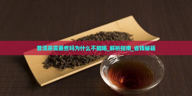 普洱茶需要煮吗为什么不能喝