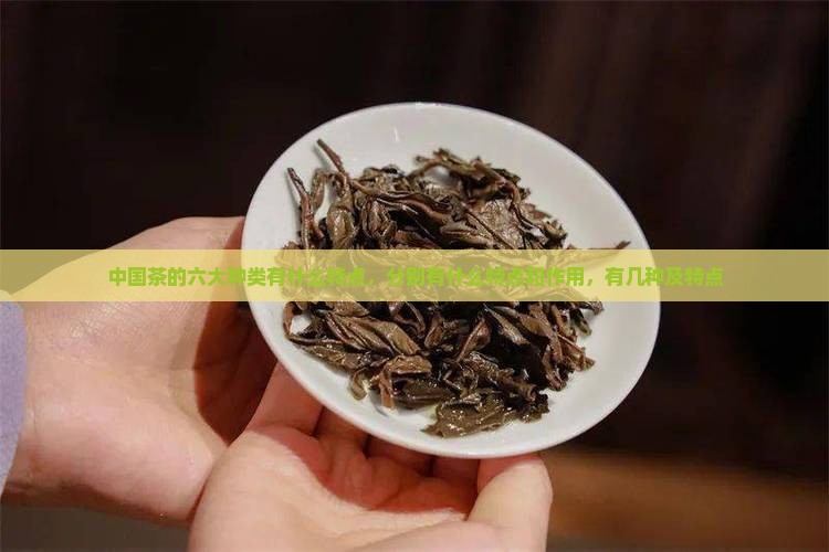 中国茶的六大种类有什么特点