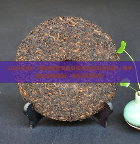 普洱金瓜贡茶老金瓜普洱茶