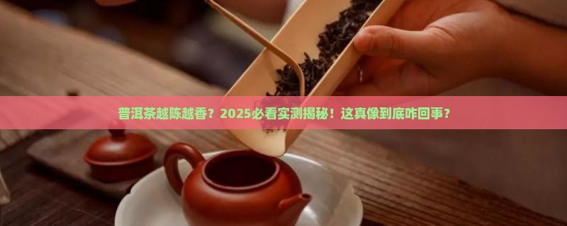 越陈越香的普洱茶是真的吗 越陈越香的普洱茶是真的吗