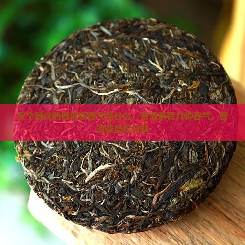 五个层次的普洱茶香气